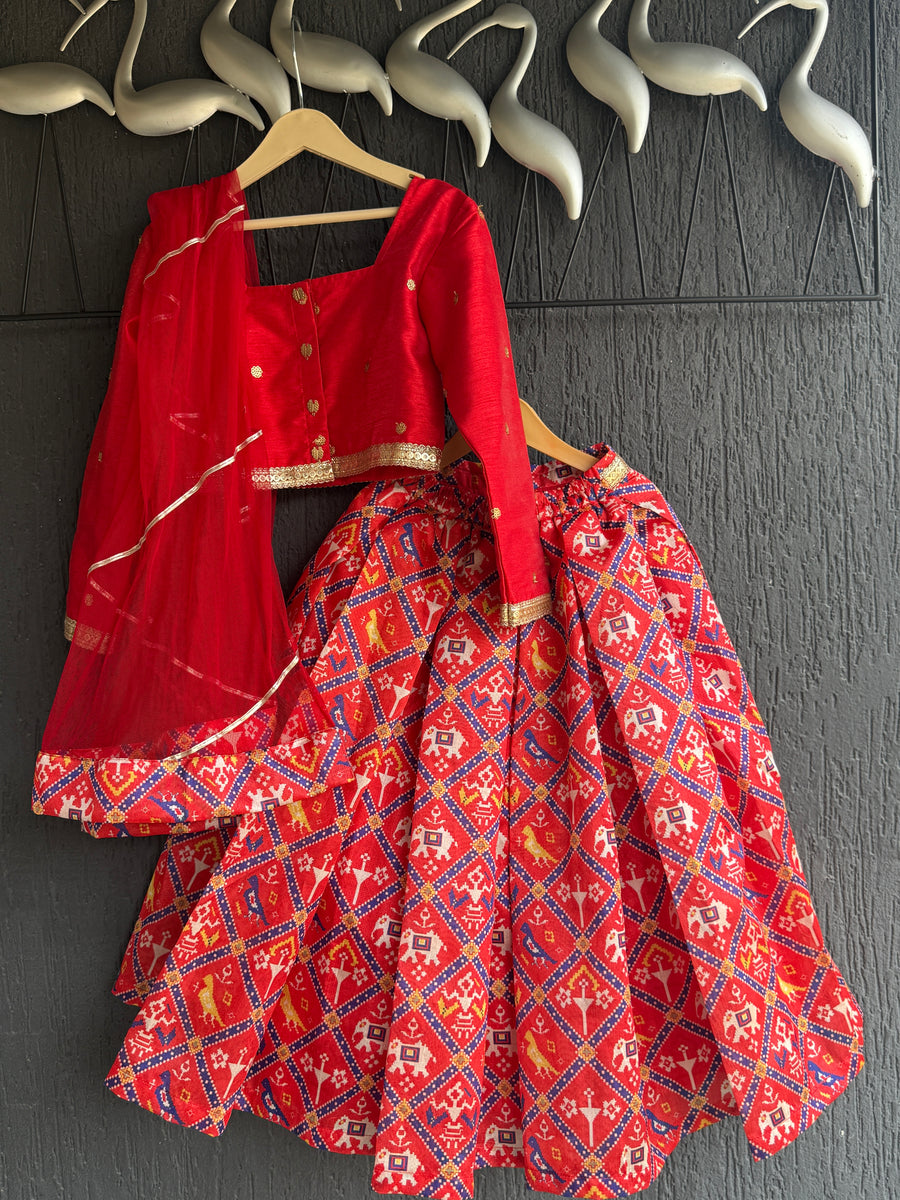 Red Patola Print Blouse and Lehenga